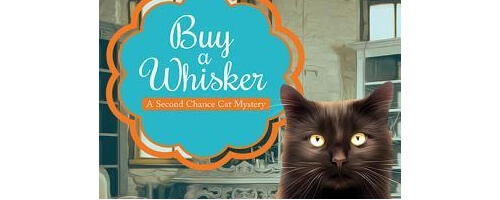 Second Chance Cat Mystery