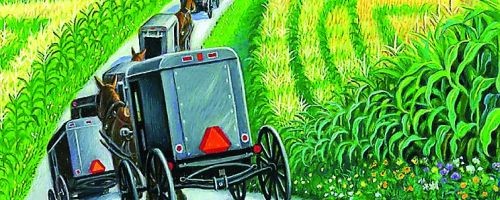 Amish Mysteries