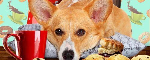 Cozy Corgi Mysteries