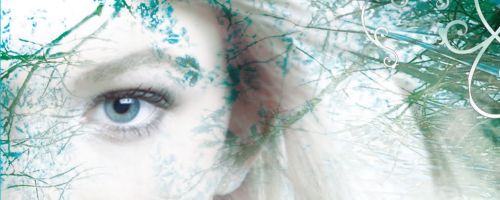 Iron Fey