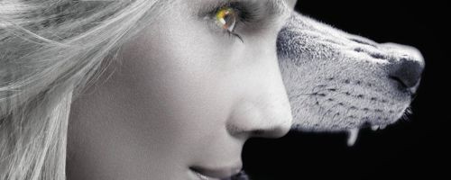 Nightshade