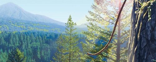 Pacific Northwest Mysteries