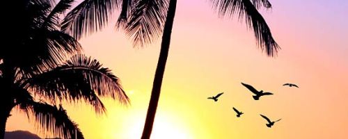 Sand and Sea Hawaiian Mysteries