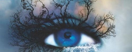 Shatter Me