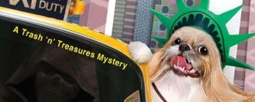 Trash ‘N’ Treasures Mysteries