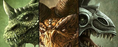 Order Of Dragonlore